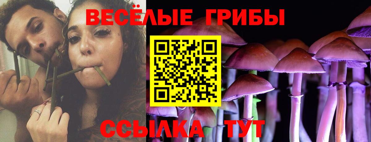 Ишим  Галлюциногенные грибы Psilocybe  где продают наркотики  Галлюциногенные грибы мицелий  Вход с VPN 